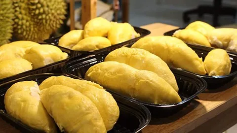 durian musang king