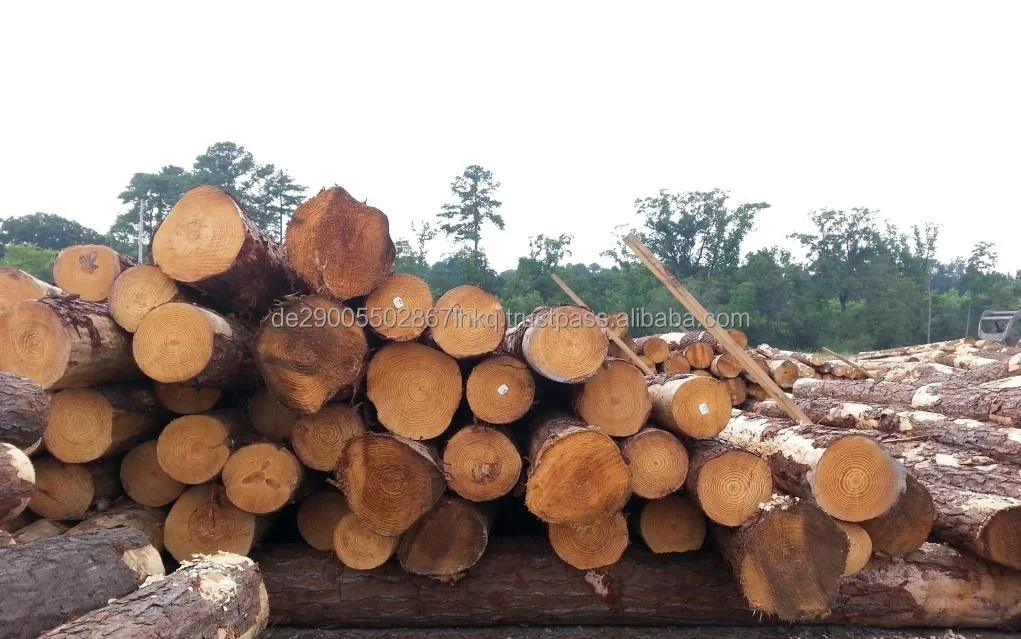 Southern Yellow Pine Logs,20+ Cm Diameter Buy Pine Logs For Sale,New