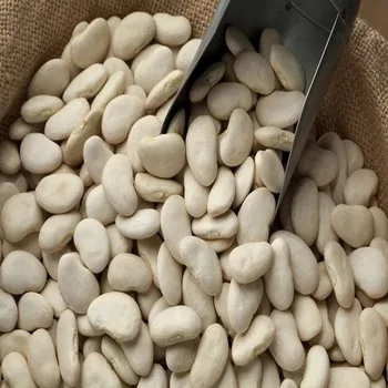 Top Quality White Butter Beans At Low Cost Bulk Price
