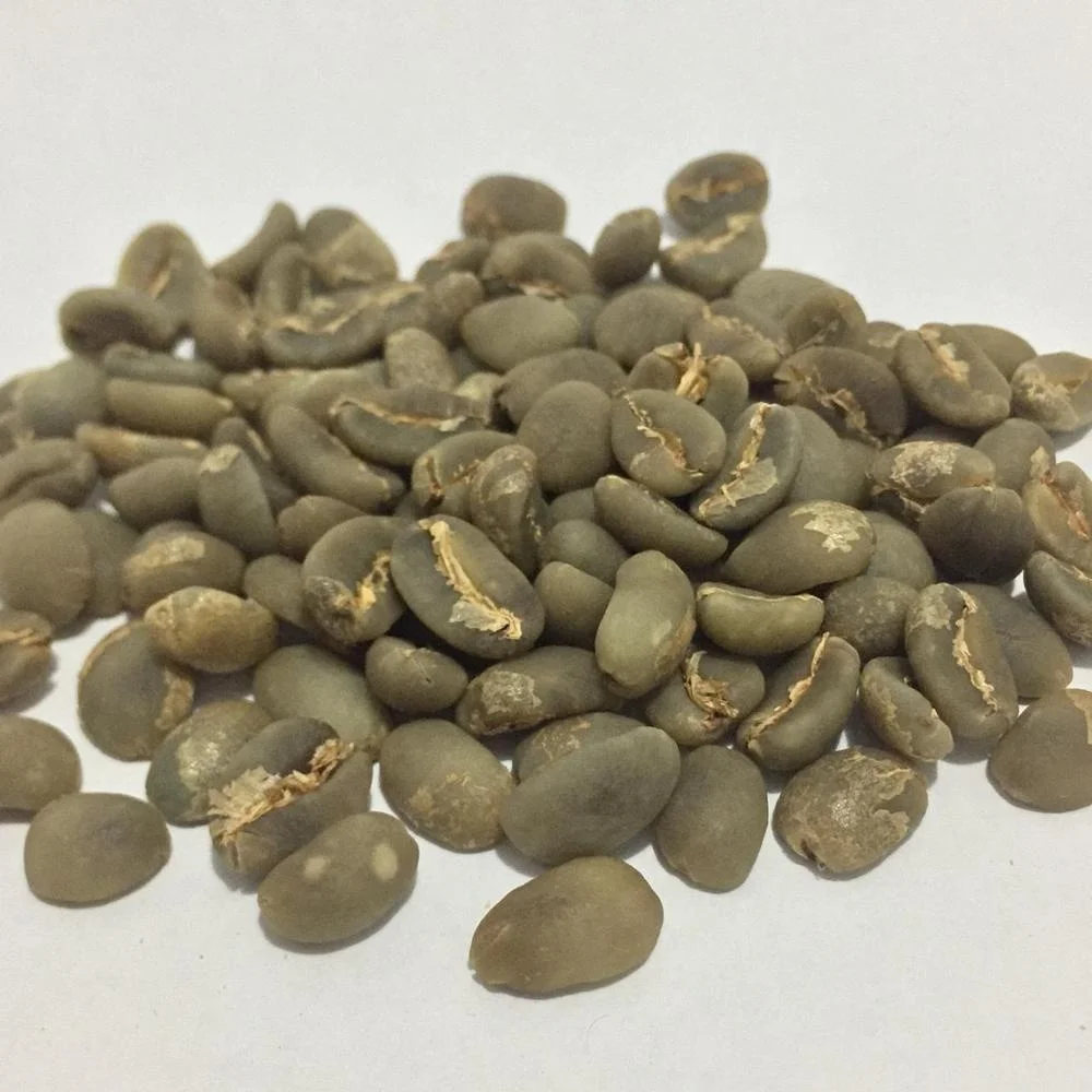 Arabica-Coffee-Beans-r
