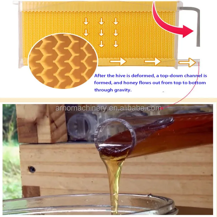 Bee box (3).jpg