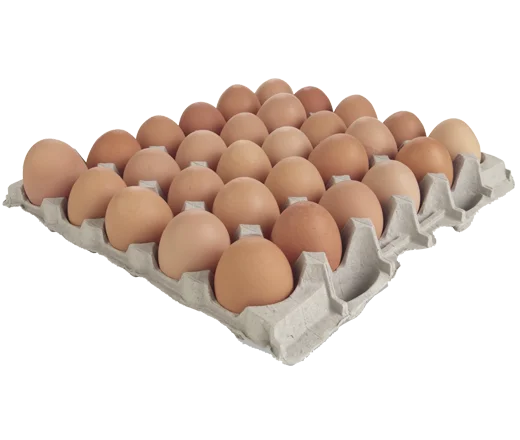 Farm Fresh Chicken Table Eggs, Brown and White Shell Chicken Eggs/Fresh Table eggs