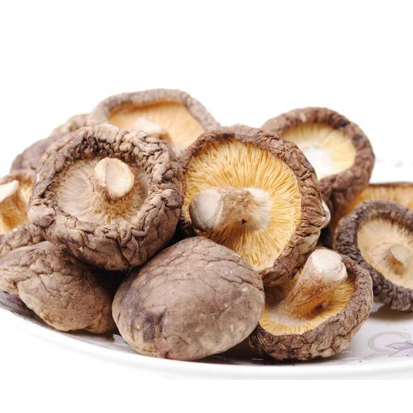 100% Natural Dried Fresh Morel cultivate mushroom Price / morchella esculenta for sale