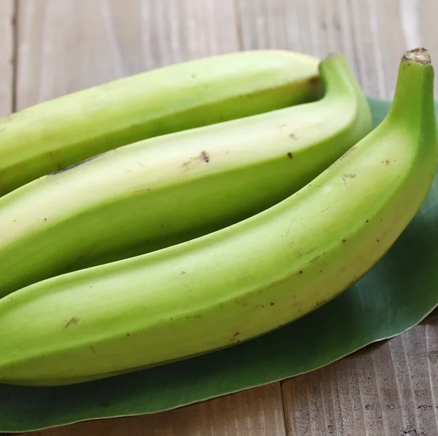 Plantains Green Plantain Banana/fresh Green Plantains For Sale Buy