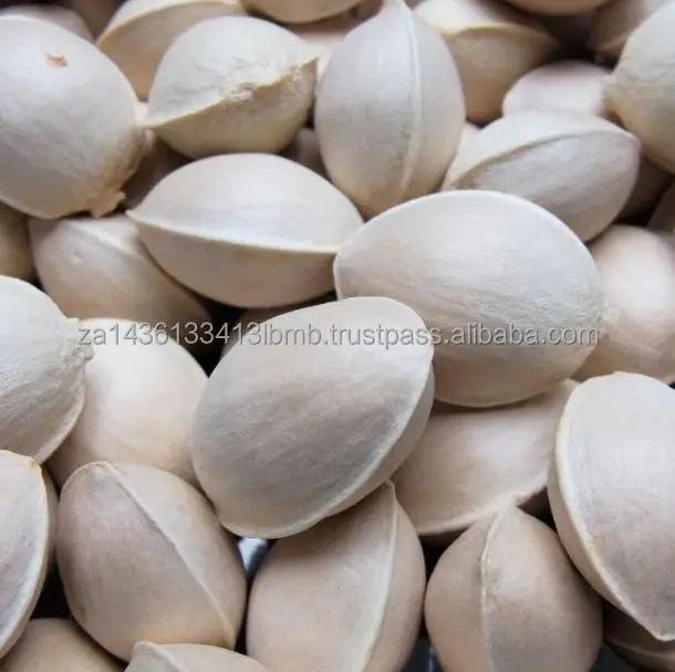 ginkgo nuts 2.jpg