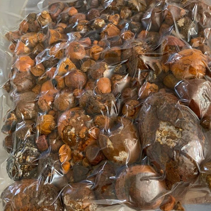 Cow ox gall stone / Buffalo Gallstone /Medicinal Gallstone Extract