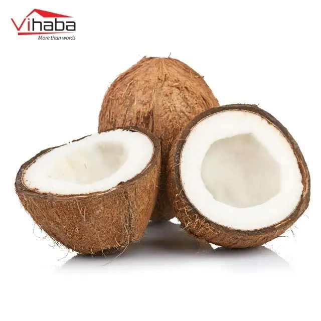 vietnam food coconut chips ad vf fd dehydrated fruit chips