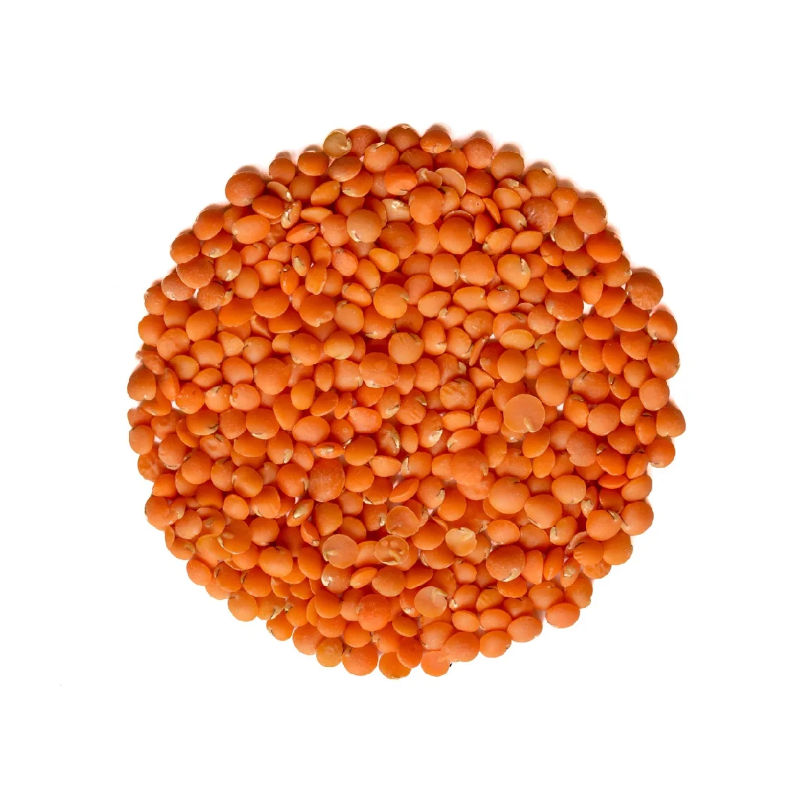 red lentils for sale,healthy natural legumes - buy lentils for