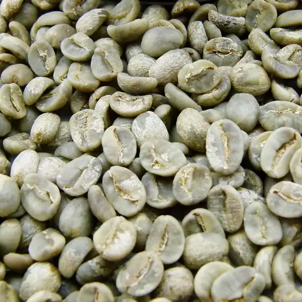 arabica green beans