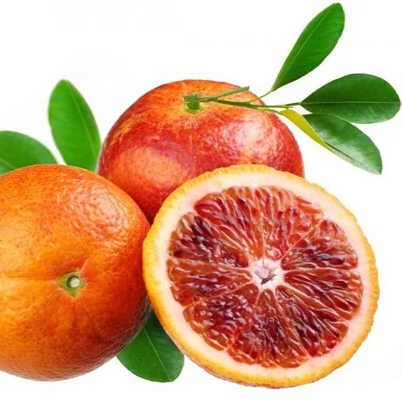 wholesale price | orange oil (blood)| best quality oil | 100%