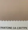 14-1307TPX