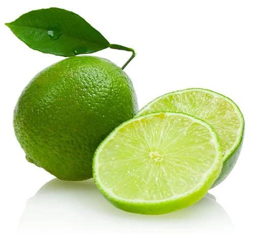 fresh lime seedless / kaffir lime leaves / dried lime - buy lime