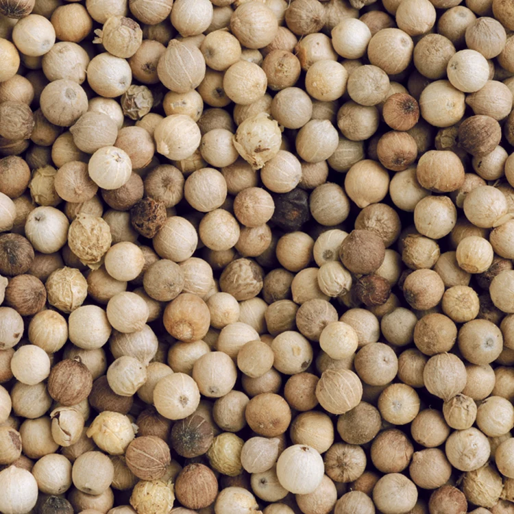 good quality wholesale white pepper price vietnam - buy sale