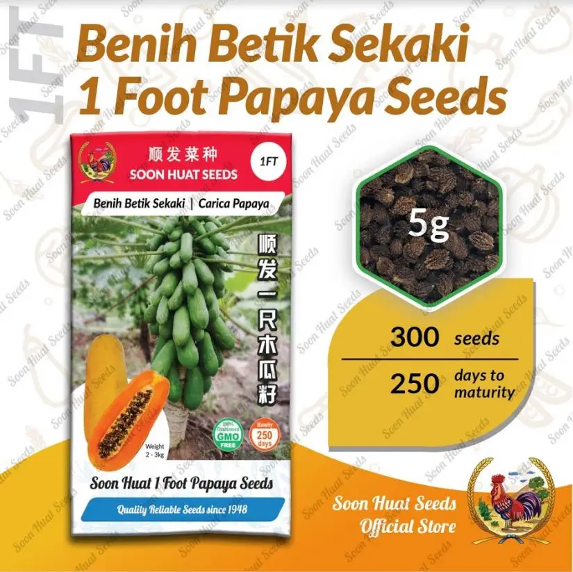 Fresh Fruit Papaya Famous Yellow Red Orange Sweet Premium Quality