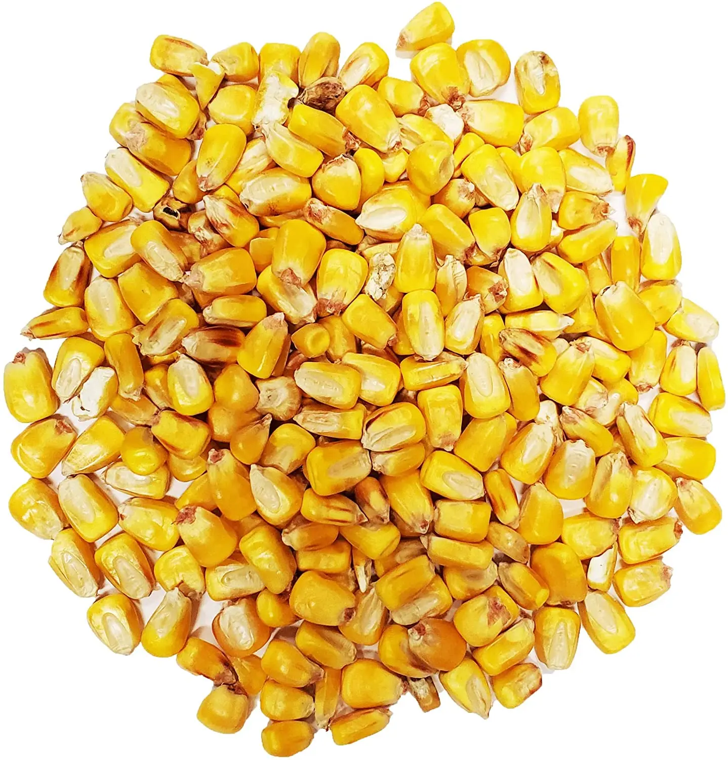 Non Gmo Yellow Corn for Animal Feed Brazil Origin Yellow Corn for Poultry AD Dried Yellow Corn for Feed