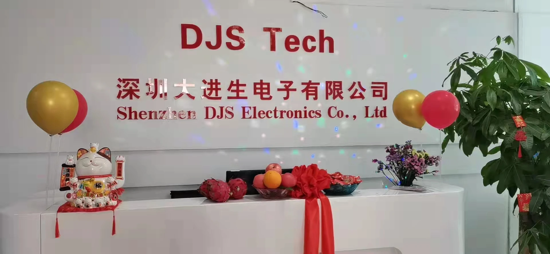 Shenzhen DJS Tech Co., Ltd. 2
