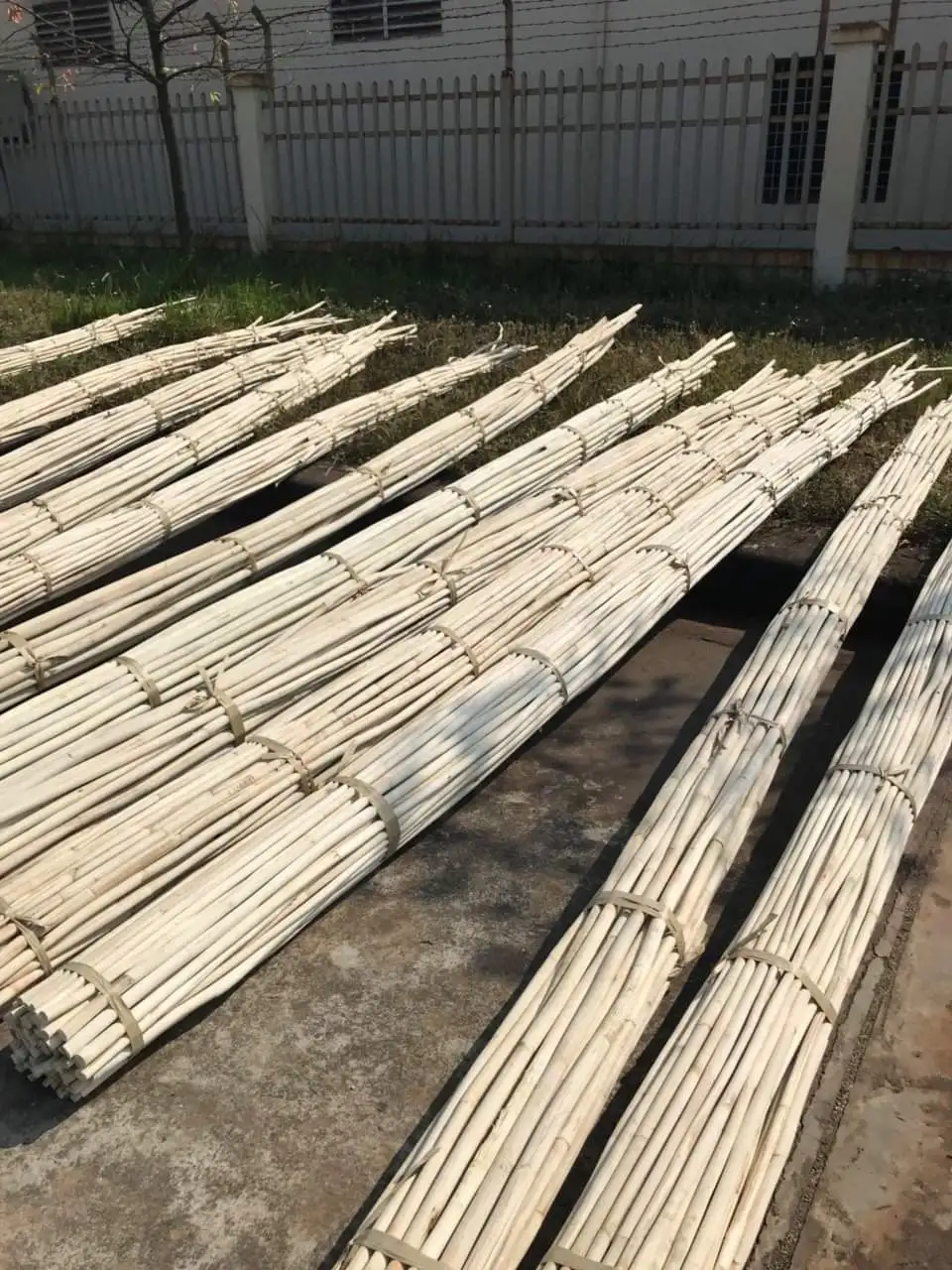 Vietnam Natural Malacca Rattan Canes / Rattan Poles Raw Material For