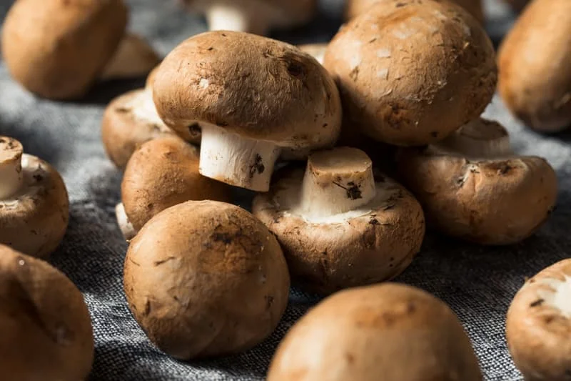 1800x1200_mushrooms.jpg