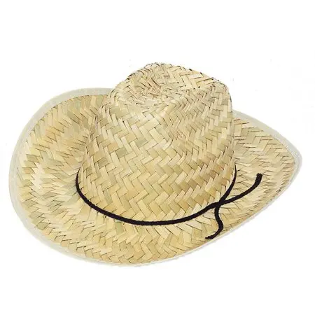 inexpensive straw cowboy hats