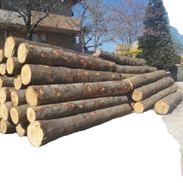 timber9.jpg