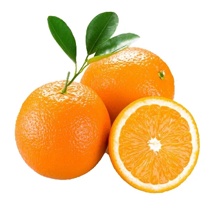 wholesale frozen fresh mandarin citrus orange/navel oranges