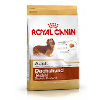 Jolly ontgrendelen worstelen 100% Top Grade Royal Canin Norwegian Forest Dry Cats Food - Buy Royal Canin,Bulk  Royal Canin,Buy Now Royal Canin Product on Alibaba.com