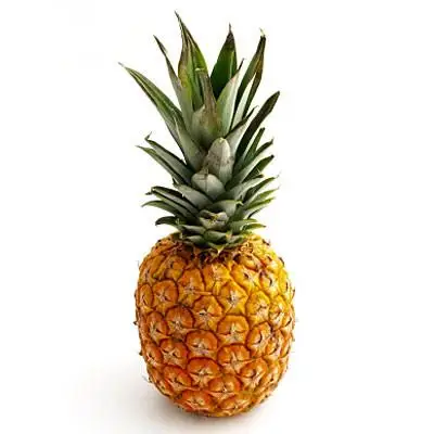 Large_Pineapple.jpg