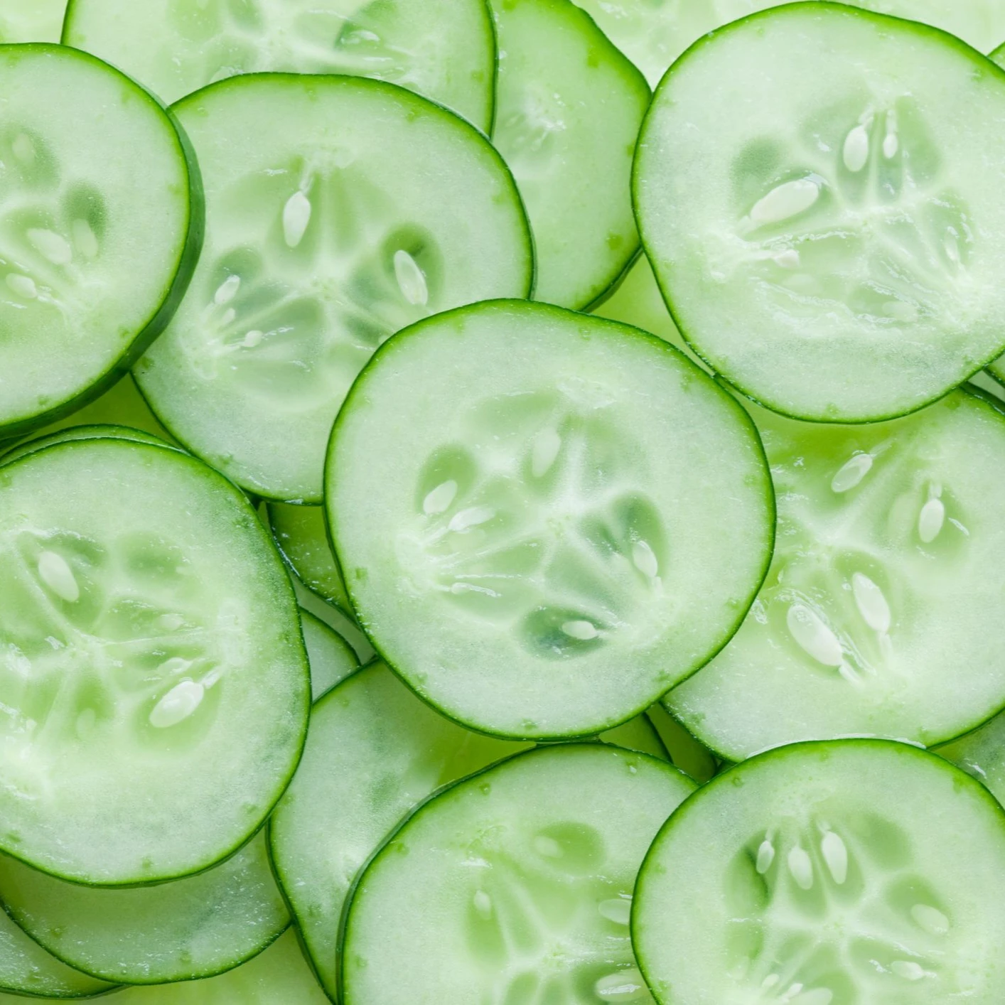 best long cucumber - buy japanese sea cucumber,egyptian cucumber