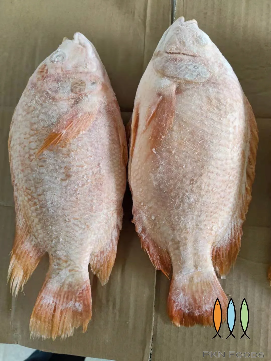 Seasonal Frozen Seafood Vietnamese Oreochromis Spp Red Tilapia Fish 2