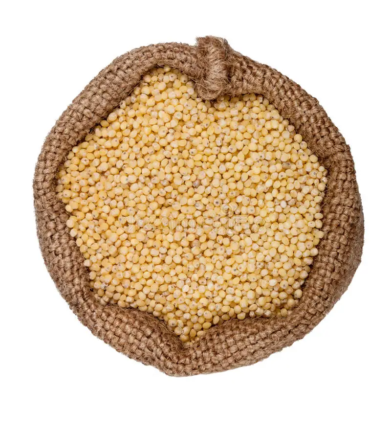 protein-rich organic foxtail millet gluten-free grain yellow