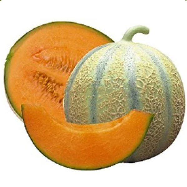 muskmelon.jpg