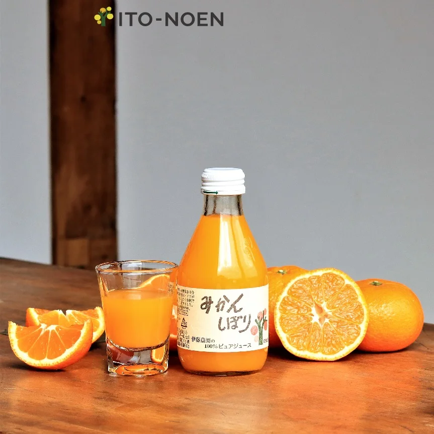 Japan  fresh  flavors pure orange yummy fruit juice for wholesale