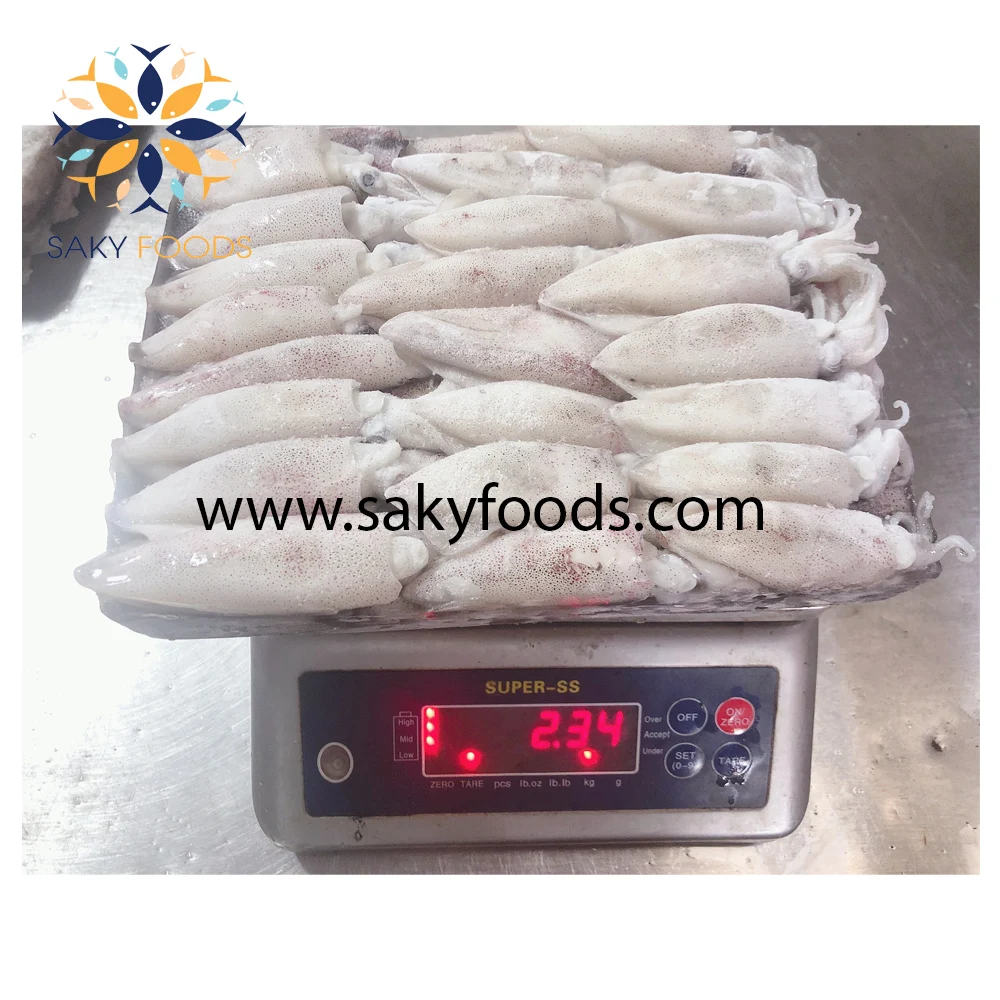 High Quality Good Price Frozen Loligo Squid For Exported Quality - Buy