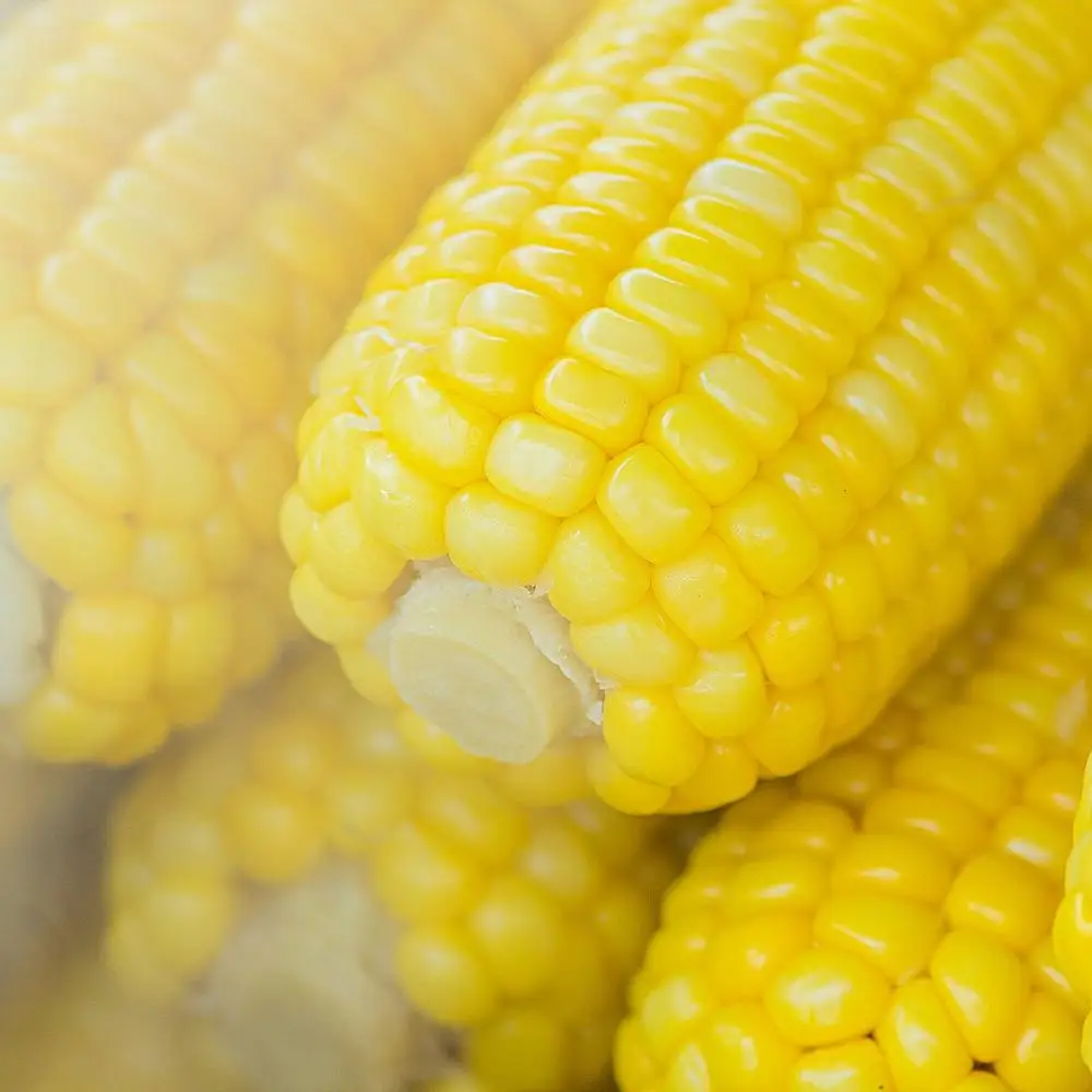 WHOLESALE FROZEN SWEET CORN – BEST QUALITY FROM VIETNAM