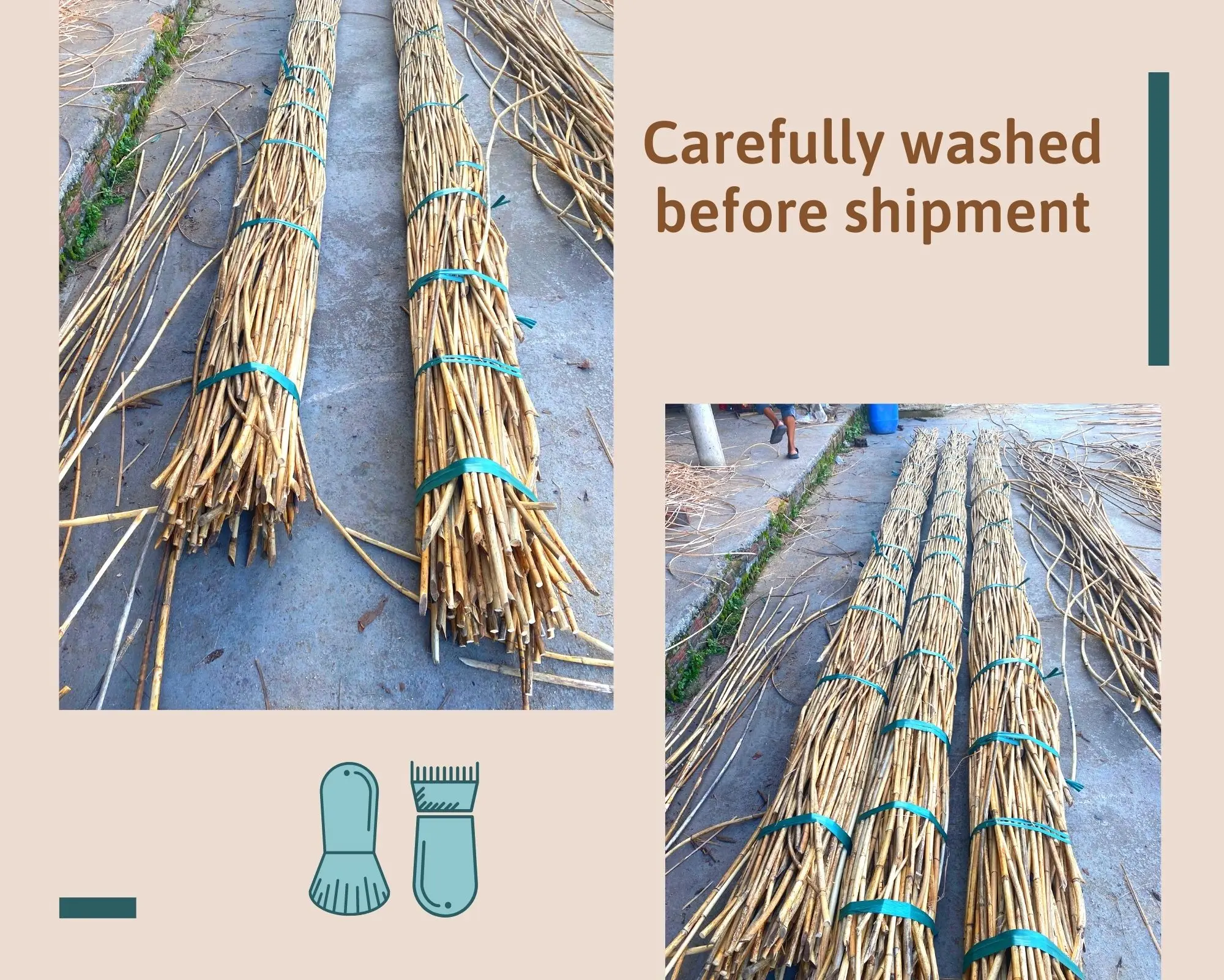 Wholesale Customized Good Quality Rattan Pole Decorative/ Vietnam Raw