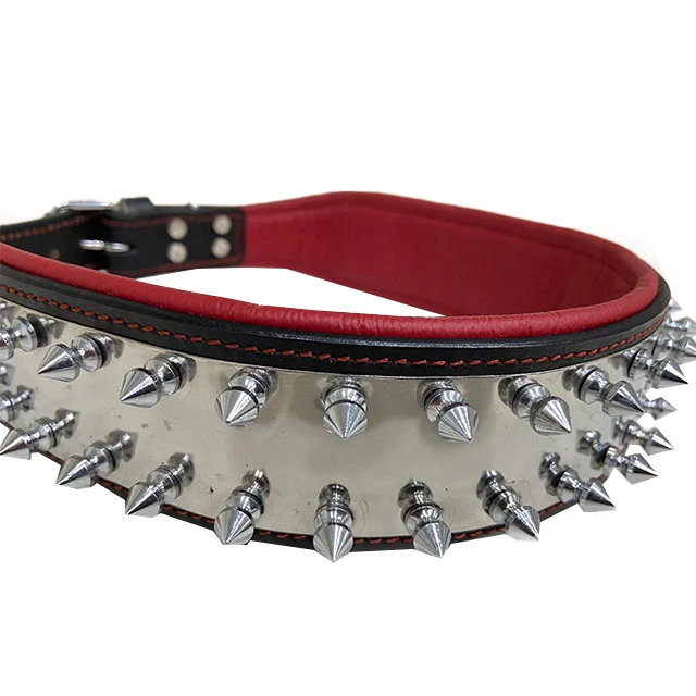 decorative dog collars