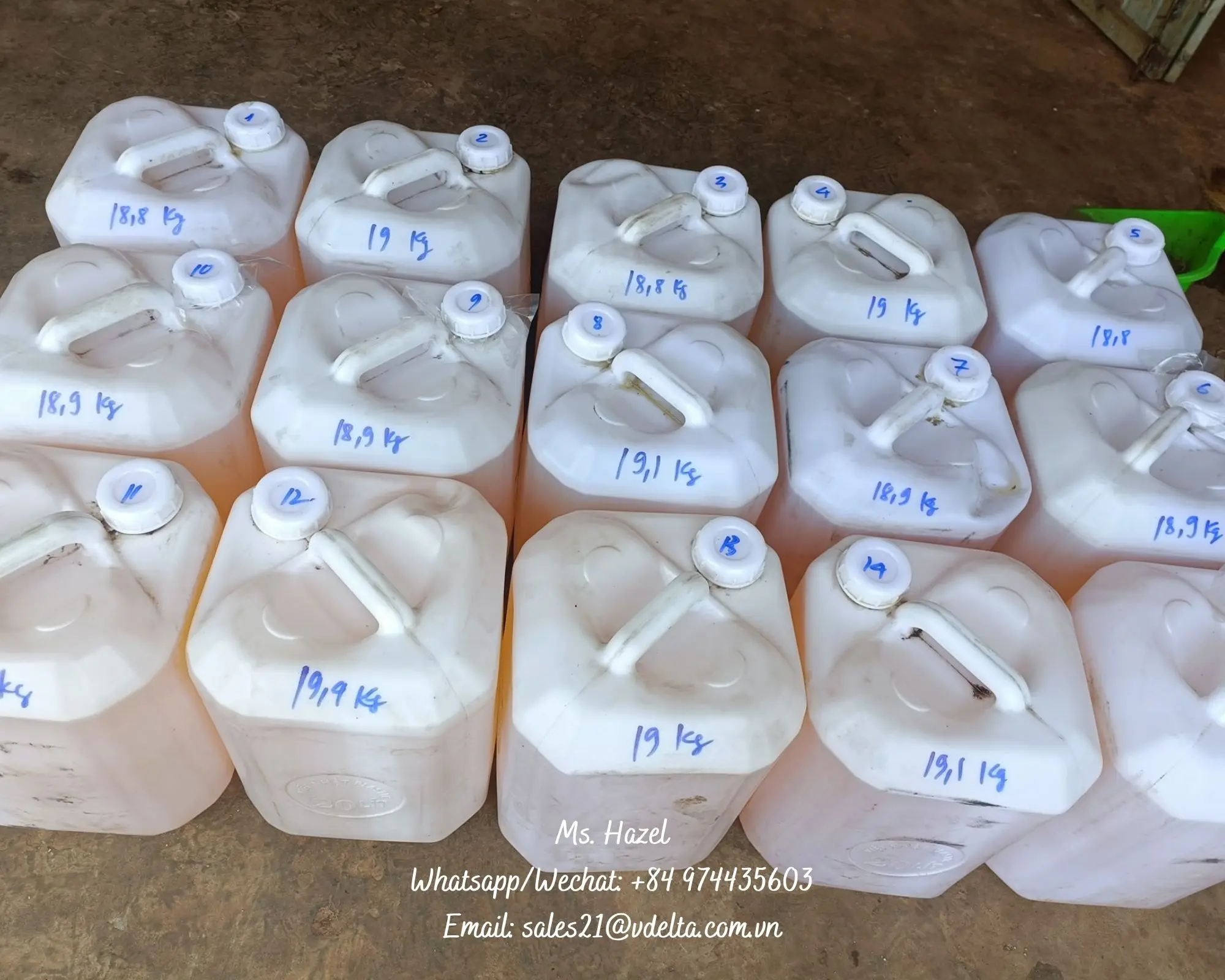 100% органическое чистое масло сачи-инчи высшего качества/масло Сач-инчи первого отжима 46% омега-3/мс. Орешник (+ 84)