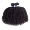 Afro Ricci