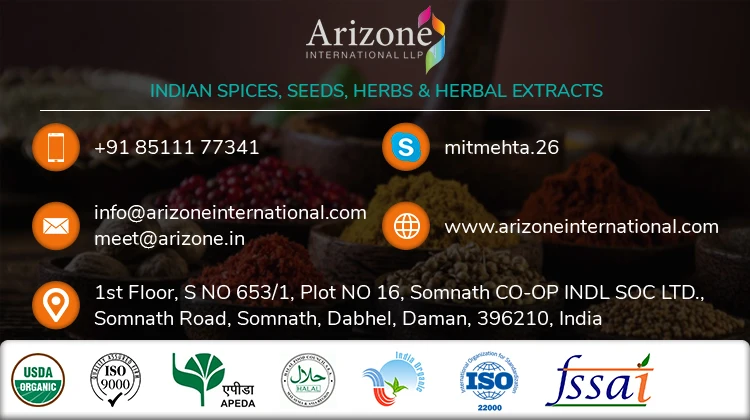 100% чистые оптовые поставки эфирных травяных масел имбиря хорошего качества от надежного поставщика