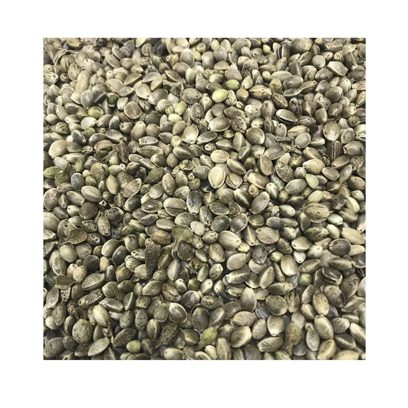 Hemp Grain Wholesale Manufacturer Natural 100% Low Price Purity Seeds