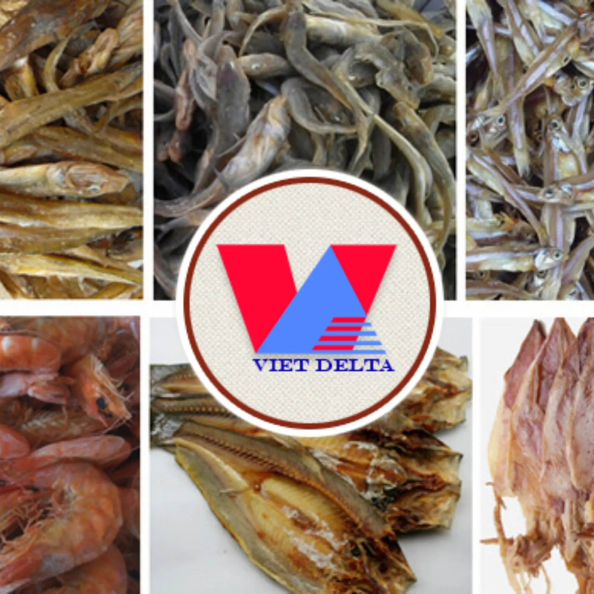 Dried Sprat / Vietnamese Sundried Anchovy Fish From With Good Price