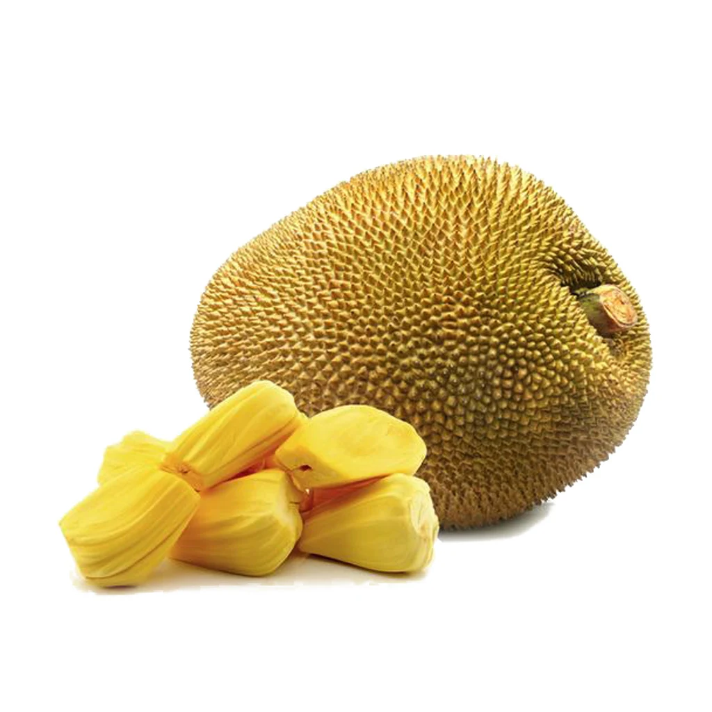 vietnam iqf frozen jackfruit for export high qua