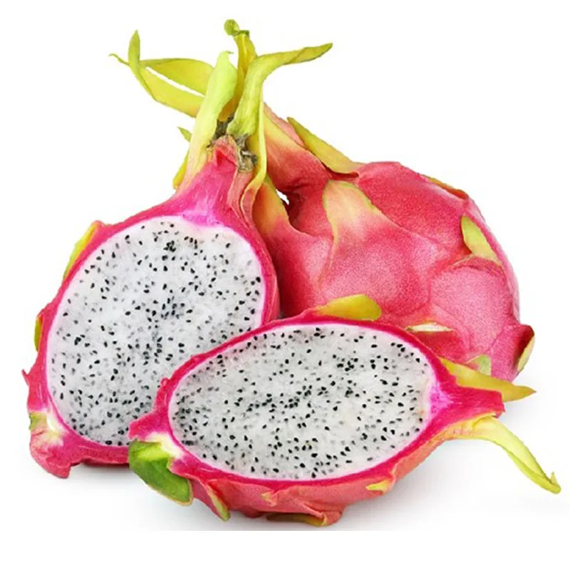 Fresh Dragon Fruit Origin From Vietnam Packing In Carton 9kg Net Weight Big Size Red And White Flesh 14 16pcs Per Box Buy Fresh Dragon Fruit Dragon Fruit Fresh Fresh Dragon Fruit From Vietnam