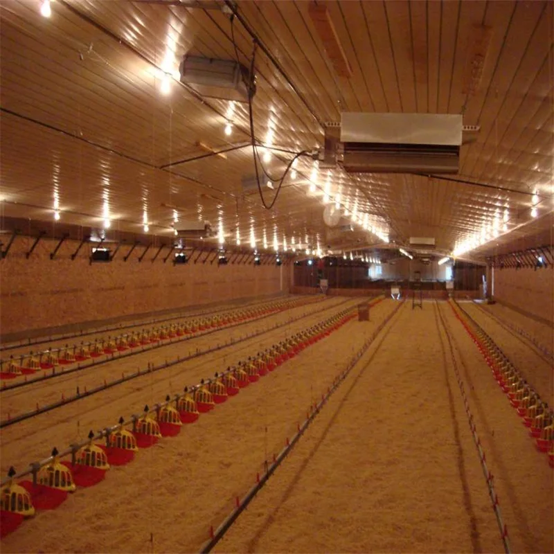 Low Cost Customized Commercial Steel Structure Broiler House Poultry Farm Chicken Building