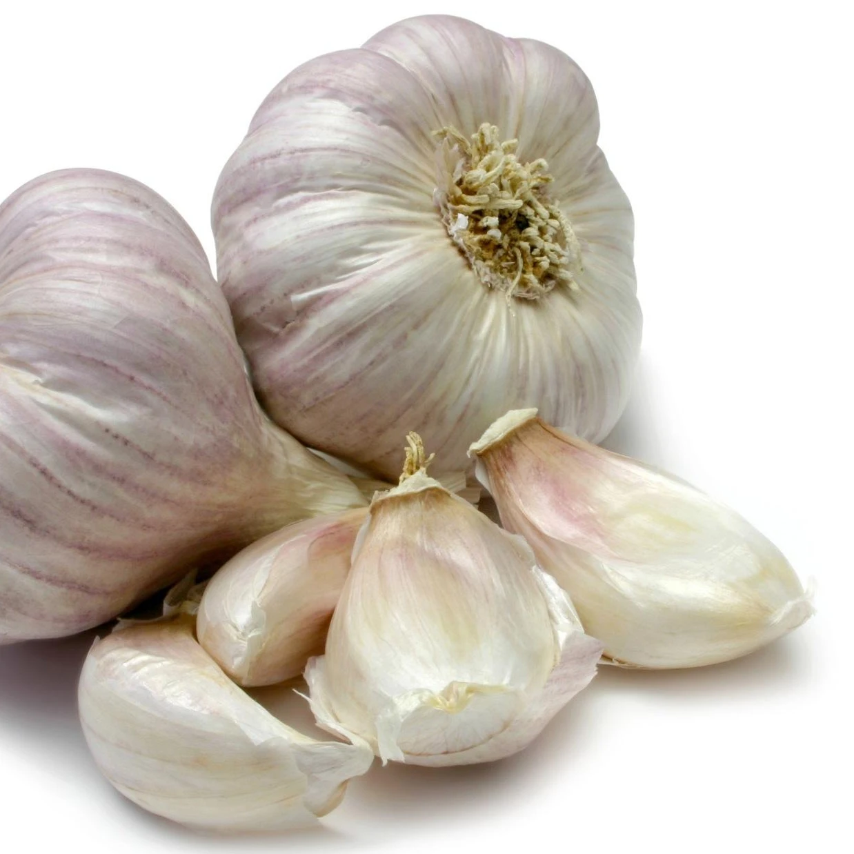 factory pure white fresh garlic price/ bulk garlic for sale