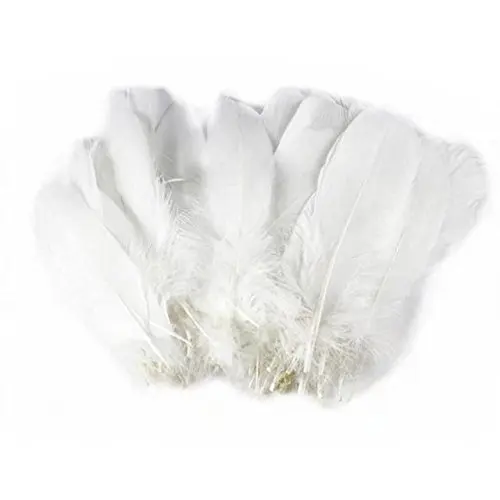 white duck feather