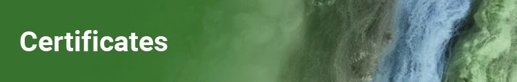 title4.jpg