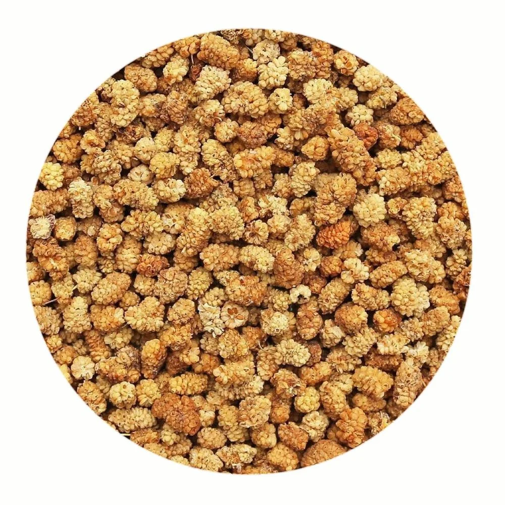 buy white mulberry,white mulberry organic,mulberry organic