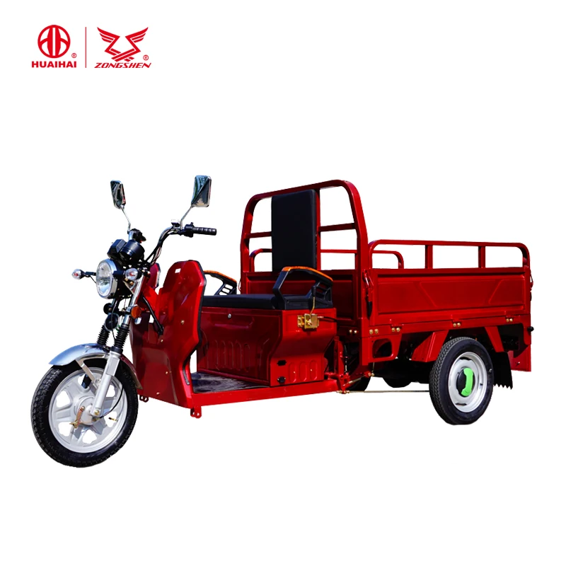 3 Wheel Cargo Electric EEC