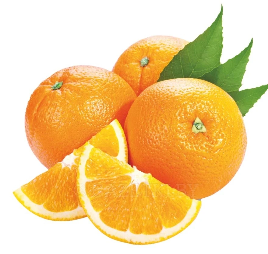 best price fresh oranges fresh citrus fruits navel orange